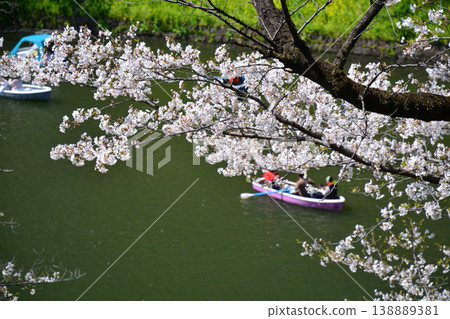 櫻花在Imperial Chidorigafuchi 138889381