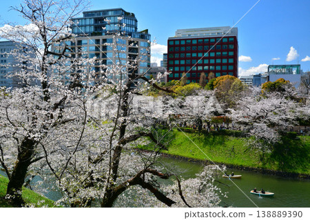 Cherry blossoms at the Imperial Chidorigafuchi Cherry blossoms at the Imperial Chidorigafuchi 138889390