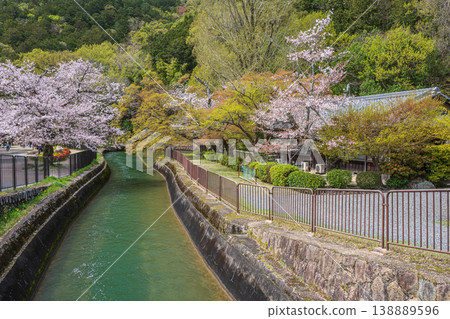 Lake Biwa Canal in Spring, Kyoto City Lake Biwa Canal in Spring, Kyoto City 138889596