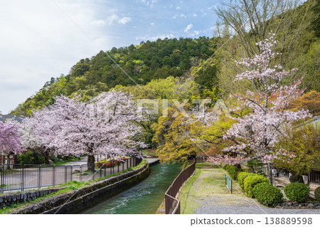Lake Biwa Canal in Spring, Kyoto City 138889598