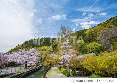京都市琵琶湖運河春季景色 京都市琵琶湖運河春季景色 138889599