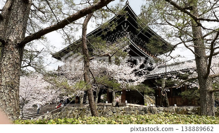 櫻花盛開時，南禪寺的三門 138889662