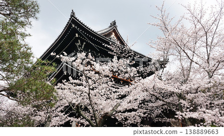 Nanzenji Temple's Sanmon Gate during cherry blossom season Nanzenji Temple's Sanmon Gate during cherry blossom season 138889663