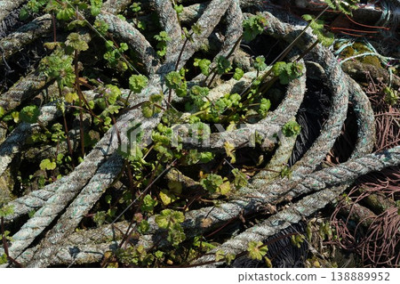 Photo of an old rope placed in a corner of a fishing village. 138889952