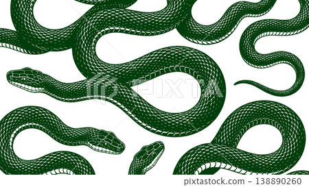 Green Snake Pattern Detailed Reptile Design 138890260