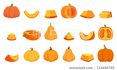 Pumpkin slices. Pumpkins prepare to cooking. Farm fresh vegetables cut halves and slice. Healthy seasonal bio products for different meals, sapid vector clipart 138890789
