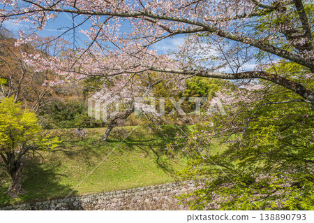 Cherry blossoms blooming in the foothills along the Lake Biwa Canal, Kyoto City Cherry blossoms blooming in the foothills along the Lake Biwa Canal, Kyoto City 138890793