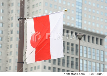 Japanese and Polish flags Japanese and Polish flags 138890853