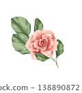 Botanical illustration of a soft pink rose flower with green leaves. Elegant isolated floral element perfect for wedding invitations, greeting cards or scrapbooking. Hand drawn aesthetic. 138890872