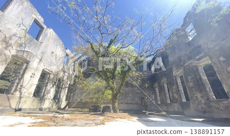 在佐世保片島魚雷試射場,殘垣斷壁中依然生氣勃勃:混凝土遺跡與參天大樹交相輝映,歷史與自然在此完美融合。 在佐世保片島魚雷試射場,殘垣斷壁中依然生氣勃勃:混凝土遺跡與參天大樹交相輝映,歷史與自然在此完美融合。 138891157