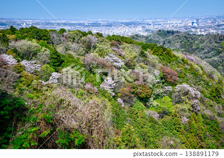 Mount Takao Hiking Trail, Inariyama Course, Inariyama Rest Area, Spring, Scenery of Cherry Blossoms and Fresh Greenery Mount Takao Hiking Trail, Inariyama Course, Inariyama Rest Area, Spring, Scenery of Cherry Blossoms and Fresh Greenery 138891179