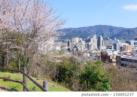 Spring cherry blossoms and streetscape in Yamashina, Kyoto (Yamashina Ward, Kyoto City, Kyoto Prefecture) Spring cherry blossoms and streetscape in Yamashina, Kyoto (Yamashina Ward, Kyoto City, Kyoto Prefecture) 138891237