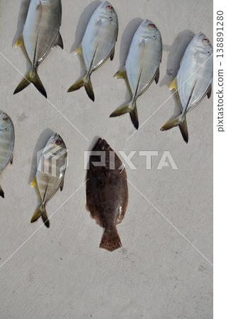 Fishing for horse mackerel from a breakwater using lures: giant trevally, bluefin trevally, flounder, and flatfish. Fishing for horse mackerel from a breakwater using lures: giant trevally, bluefin trevally, flounder, and flatfish. 138891280