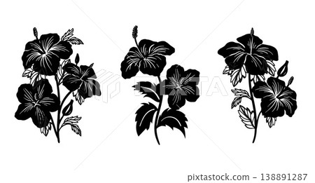 Silhouette tropical black hibiscus vector flowers set. Silhouette tropical black hibiscus vector flowers set. 138891287