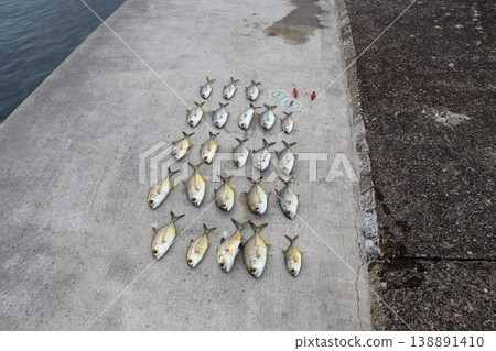 Silver Horse Mackerel Breakwater Fishing Lure Giant Horse Mackerel Silver Horse Mackerel Flathead Horse Mackerel Silver Horse Mackerel Breakwater Fishing Lure Giant Horse Mackerel Silver Horse Mackerel Flathead Horse Mackerel 138891410