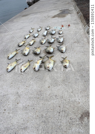 Silver Horse Mackerel Breakwater Fishing Lure Giant Horse Mackerel Silver Horse Mackerel Flathead Horse Mackerel Silver Horse Mackerel Breakwater Fishing Lure Giant Horse Mackerel Silver Horse Mackerel Flathead Horse Mackerel 138891411