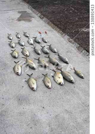 Silver Horse Mackerel Breakwater Fishing Lure Giant Horse Mackerel Silver Horse Mackerel Flathead Horse Mackerel Silver Horse Mackerel Breakwater Fishing Lure Giant Horse Mackerel Silver Horse Mackerel Flathead Horse Mackerel 138891413