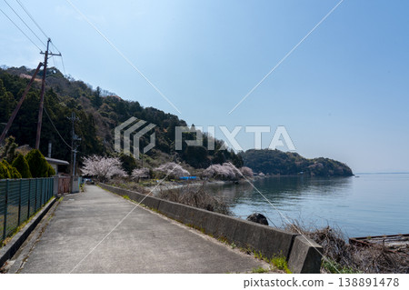 Cherry blossoms bloom along the local roads that run along the western shore of Okishima Island in spring. 138891478
