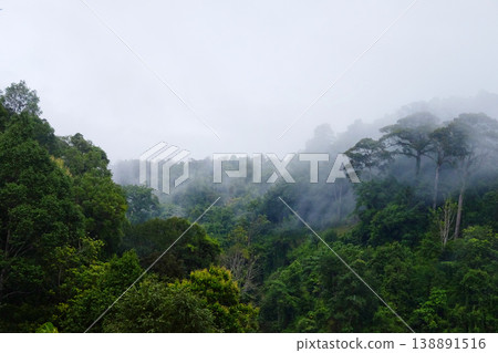 Aerial view of green rainforest in the mountains on a foggy day in the morning of Thailand Aerial view of green rainforest in the mountains on a foggy day in the morning of Thailand 138891516