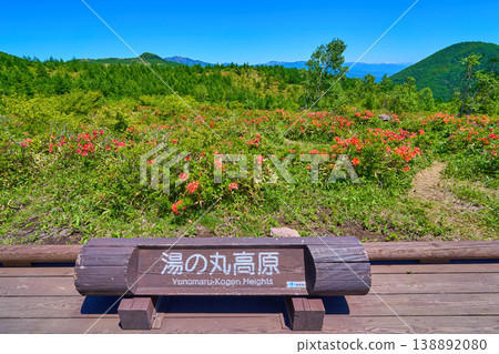 View to the north from Tsutsujidaira in Yunomaru Plateau, Tsumagoi Village, Gunma Prefecture (present-day Tomi City, Nagano Prefecture), amidst the fresh greenery (including Mt. Sajikiyama and Mt. Azumayama). 138892080