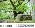 盛岡的象徵，國家指定天然紀念物「石割櫻」（裂石櫻）：一棵由裂開一塊巨大花崗岩而生長出來的江戶彼岸櫻。 138892096