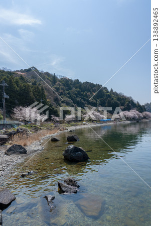 Cherry blossom scenery on the western shore of Lake Okishima Cherry blossom scenery on the western shore of Lake Okishima 138892465