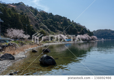 衝島湖西岸的櫻花美景 衝島湖西岸的櫻花美景 138892466