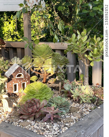 Succulent garden with decorative house in a planter box, lush greenery in background 138892852
