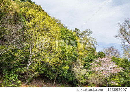 京都琵琶湖運河沿岸鬱鬱蔥蔥的山脈 京都琵琶湖運河沿岸鬱鬱蔥蔥的山脈 138893007