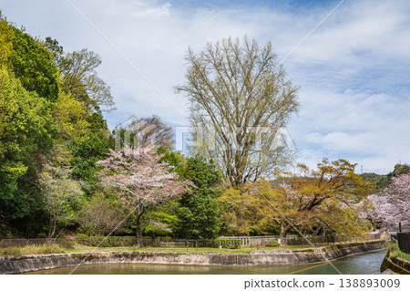 Springtime scenery of the Lake Biwa Canal, near the entrance to the Moroha Tunnel, Kyoto City. Springtime scenery of the Lake Biwa Canal, near the entrance to the Moroha Tunnel, Kyoto City. 138893009