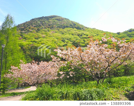 香川縣善通寺市五學之鄉市民聚集山公園的春天(26) 香川縣善通寺市五學之鄉市民聚集山公園的春天(26) 138893306