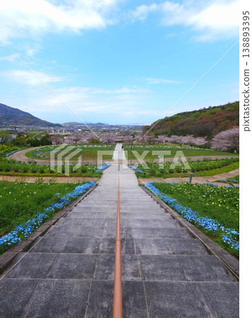 香川縣善通寺市五學之鄉市民聚集山公園的春天(32) 香川縣善通寺市五學之鄉市民聚集山公園的春天(32) 138893395