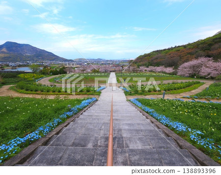 香川縣善通寺市五學之鄉市民聚集山公園的春天(31) 香川縣善通寺市五學之鄉市民聚集山公園的春天(31) 138893396