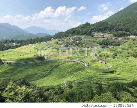Rice terrace from the observatory 138893524