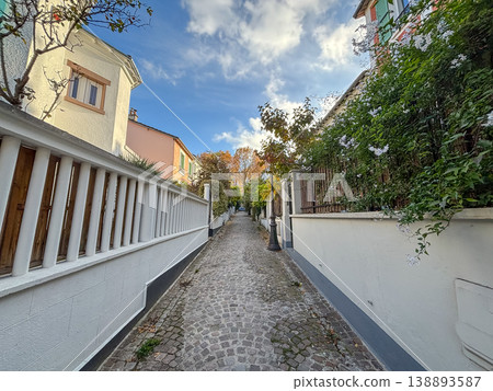 Mouzaia cobblestone alley lined with gardens in Paris 19th France Mouzaia cobblestone alley lined with gardens in Paris 19th France 138893587