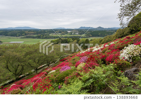 Colorful azalea flowers bloom at Nichirinji Temple Colorful azalea flowers bloom at Nichirinji Temple 138893668