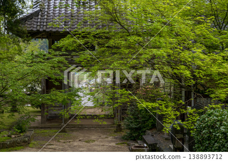 日林寺的杜鵑花盛開 日林寺的杜鵑花盛開 138893712