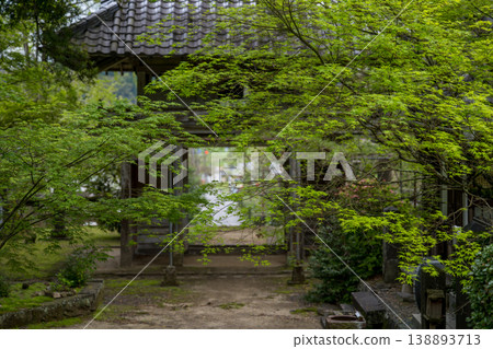 日林寺的杜鵑花盛開 日林寺的杜鵑花盛開 138893713
