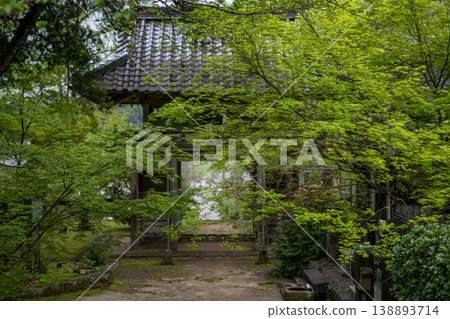 日林寺的杜鵑花盛開 日林寺的杜鵑花盛開 138893714
