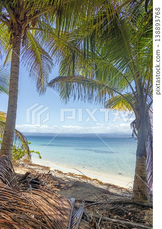 Palm trees framing tropical beach view Bocas del Toro Panama Palm trees framing tropical beach view Bocas del Toro Panama 138893768