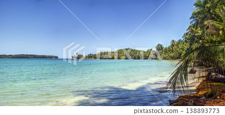 Palm covered island coastline with clear water Panama Palm covered island coastline with clear water Panama 138893773