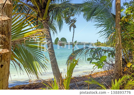 Tropical beach framed by palms and jungle Panama Tropical beach framed by palms and jungle Panama 138893776