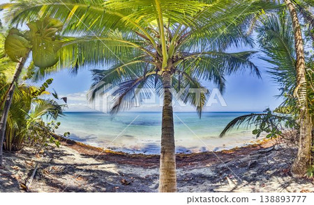 Palm framed tropical beach at Estrella Beach Bocas del Toro Panama Palm framed tropical beach at Estrella Beach Bocas del Toro Panama 138893777