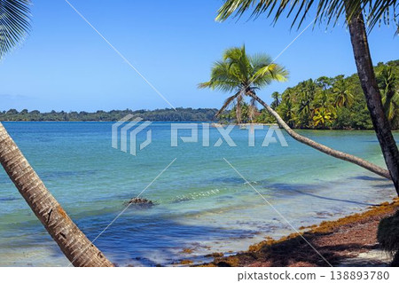 Tropical bay with palm trees and shallow water Panama Tropical bay with palm trees and shallow water Panama 138893780