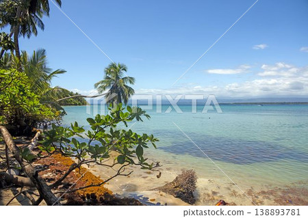 Tropical coast with palm trees and blue sea in Panama Tropical coast with palm trees and blue sea in Panama 138893781