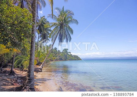 Calm tropical beach with palm trees in Bocas del Toro Panama Calm tropical beach with palm trees in Bocas del Toro Panama 138893784