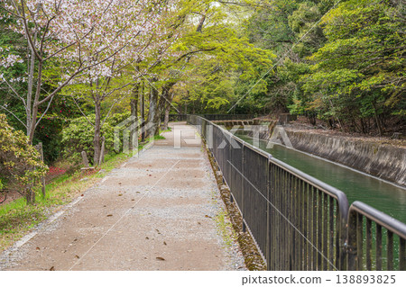 Lake Biwa Canal in Spring, Kyoto City Lake Biwa Canal in Spring, Kyoto City 138893825