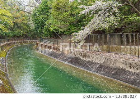 Lake Biwa Canal in Spring, Kyoto City Lake Biwa Canal in Spring, Kyoto City 138893827
