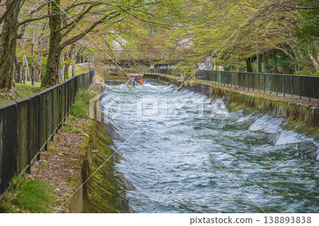 Lake Biwa Canal in Spring, Kyoto City Lake Biwa Canal in Spring, Kyoto City 138893838