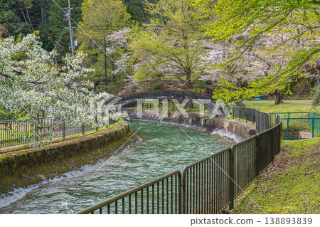 Lake Biwa Canal in Spring, Kyoto City Lake Biwa Canal in Spring, Kyoto City 138893839
